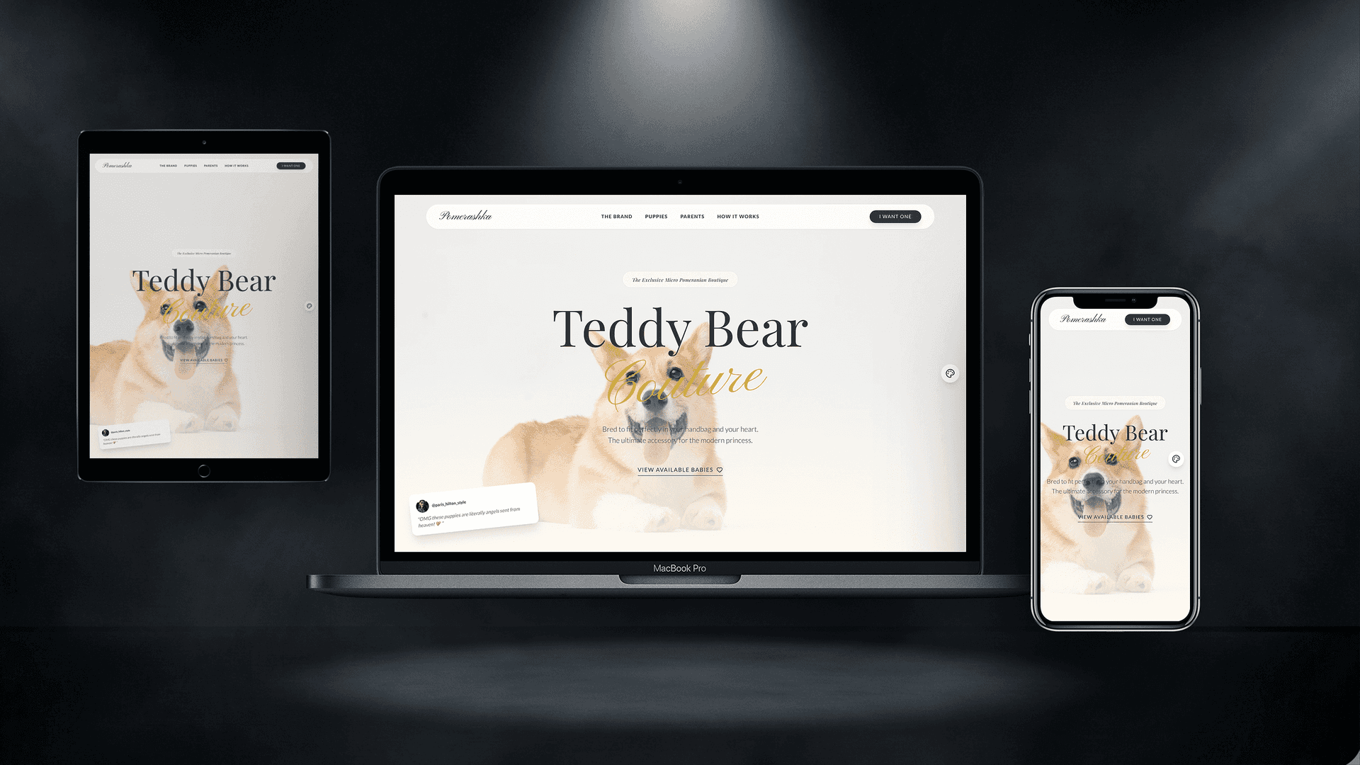 Canine World — Гламурний шаблон для бутиків та краси - Корпоративний Website Template